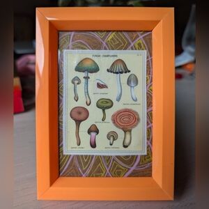 Mushroom Collage, Orange Frame